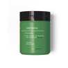 Masque cheveux à l’Aloe Vera