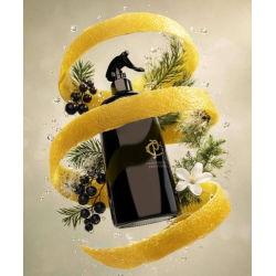 Spray d’ambiance ‘Musk Ritual'