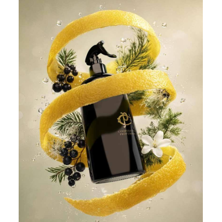 Spray d’ambiance ‘Musk Ritual'