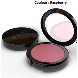 Fard à joues Compact Warm Shade