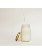Lait d'ânesse